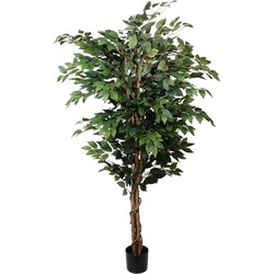 Kopu® Kunstplant Ficus Benjamina 150 cm in zwarte pot - 1764 bladeren