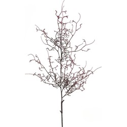 Branche de Bois - Marron / 117 cm