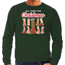 Bellatio Decorations foute kersttrui/sweater voor heren - All I want for Christmas - piemels - groen M - kerst truien