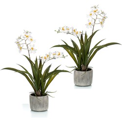 Set van 2x stuks witte orchidee kunstplanten in keramische pot 45 cm - Kunstplanten