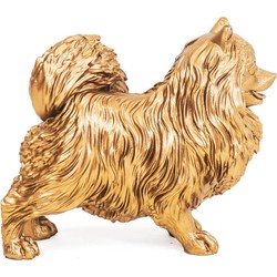 Housevitamin Pomeranian Dog - Gold - 23x10x18cm