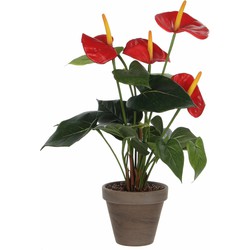 Mica Decorations Kunstplant Anthurium - rood - in grijze pot - 40 cm - Kunstplanten