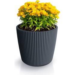 Prosperplast Plantenpot/bloempot Buckingham - kunststof - antraciet - 23 x 21 cm - Plantenpotten