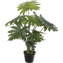 Groene gatenplant Philodendron Selloum kunstplant in zwarte kunststof pot 55 cm - Kunstplanten