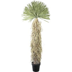PTMD Kunstplant Yucca - 58x58x150 cm - Plastic - Groen