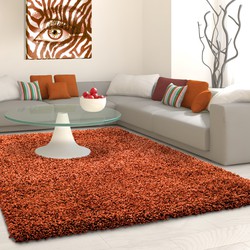 Tapijtenloods Basic Shaggy vloerkleed Terra / Oranje Hoogpolig- 120x170 CM