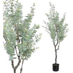 PTMD Tree Eucalyptus Kunstboom - 79x41x148 cm - Plastic Pot - Groen