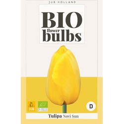 Tulipa Novi Sun - bio