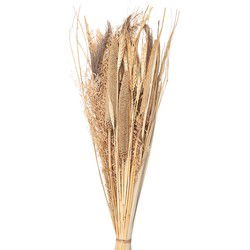 Clayre & Eef Droogbloemen Beige Droogbloemen
