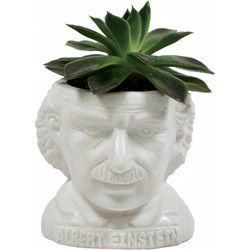 UPG Planter - Albert Einstein

UPG Planter - Albert Einstein