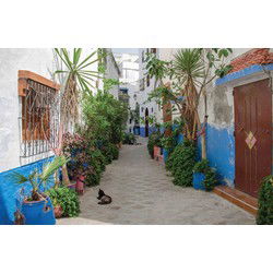 Straat Marokko 140x90cm Tuindoek