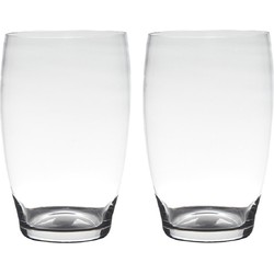 Set van 2x stuks transparante home-basics vaas/vazen van glas 20 x 15 cm Naomi - Vazen