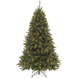 Triumph Tree Bristlecone Kunstkerstboom met LED Verlichting - H155 x Ø99 cm - Donkergroen