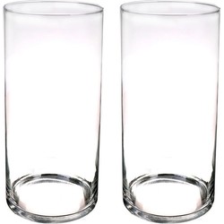 Set van 2x stuks glazen vaas/vazen transparant 60 x 19 cm - Vazen