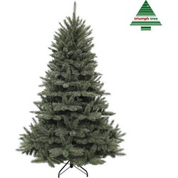 Forest Frosted Pine kunstkerstboom newgrowth blue d157 h230 cm - Triumph Tree