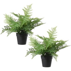 Set van 2x stuks groene bosvaren Dryopteris Remota kunstplanten in zwarte kunststof pot 43 cm - Kunstplanten