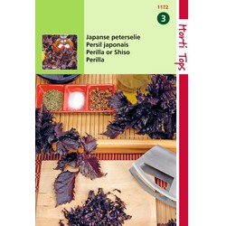 2 stuks - Perilla Crispum Paarsbladig Shiso - Hortitops