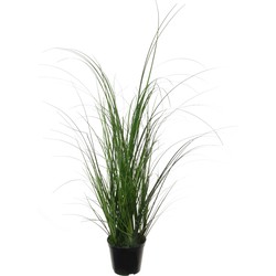 Louis Maes Quality kunstplant - Siergras bush - donkergroen - H65 cm - in pot - Kunstplanten