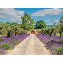 Lavendel deur 70x50cm Tuinschilderij - Customize-it