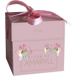 2 stuks - Fleur D'Amaryll Pink 1 bollen