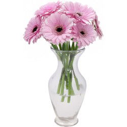 DK Design Bloemenvaas Mira -transparant glas - D18 x H37 cm - Vazen