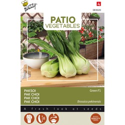 Patio Veggies, Pak Choi Green