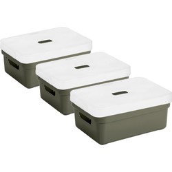 3x stuks opbergboxen/opbergmanden groen van 9 liter kunststof met transparante deksel - Opbergbox