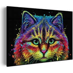 Muurwerken Akoestisch Schilderij - Colored Cat - Geluidsdempend Wandpaneel - Wanddecoratie - Geluidsisolatie - BASIC (AW 0.65) XXL (150x107)