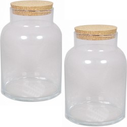 2x Glazen terrarium vazen 11 liter met kurk deksel 21 x 31 cm - Voorraadpot