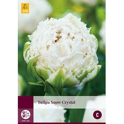 3 stuks - Tulipa Snow Crystal 4 bollen