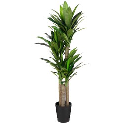 Mica Decorations Dracaena Kunstplant - H150xØ60 cm - Pot - Groen