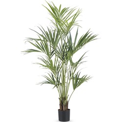 Kunstpalm Kentia Deluxe 190 cm | NeverLeafs