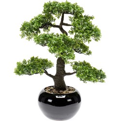 Bonsai boompje Ficus Retusa kunstplant in kunststof pot 47 cm - Kunstplanten