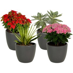 4x stuks bloempot mat antraciet grijs keramiek voor kamerplant H13.5 x D15.5 cm - Plantenpotten