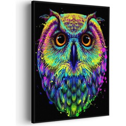 Muurwerken Akoestisch Schilderij - Colored Owl 01 - Geluidsdempend Wandpaneel - Wanddecoratie - Geluidsisolatie - PRO (AW 0.90) M (60X85)
