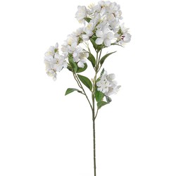 Louis Maes Bloesem kunstbloem/tak - wit - 60 cm - appelbloesem - Kunstbloemen