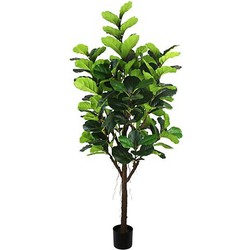 Ficus Lyrata 210 cm kunstplant