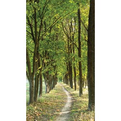 Bomen pad 70x130cm Tuinschilderij - Customize-it