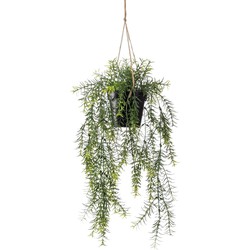Seidenpflanze Hängepflanze mit Topf Spargel Kunstpflanze Kollektion - Driesprong Collection