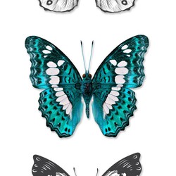 ESTAhome behang XXL vlinders turquoise. zwart en wit