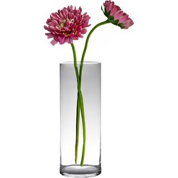 Hakbijl glass bloemenvaas - Transparant - glas - D19 x H60 cm - Cilinder vormig - Vazen