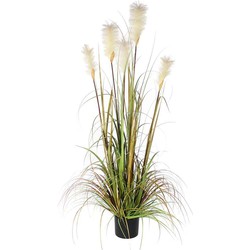 Mica Decorations Pluimgras Foxtail Kunstplant - H150 x Ø70 cm