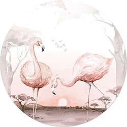 Muurcirkel Afrikaanse Dieren Flamingo's