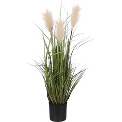 Mica Decorations Plume grass Kunstplant - 35x35x80 cm - PVC - Creme