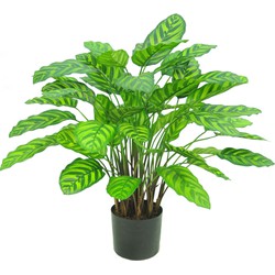 Greenmoods Calathea Makoyana - Pauwenplant - Nepplanten voor binnen - Kunstplant - 1 Stuk