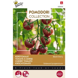 5 stuks - Pomodori Black Cherry