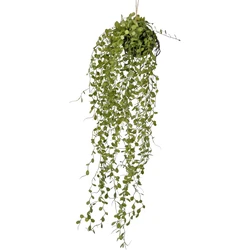 Hoyz Greenery - Kunst hangplant Vetplant bal 58 cm