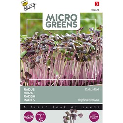 5 stuks - Saatgut Microgreens Rettich (rot) - Buzzy
