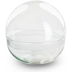 URBANJNGL - Dome XL - Bolglas - Gesloten terrarium ↑ 28 cm