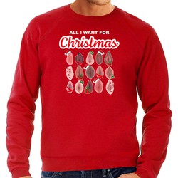 Bellatio Decorations foute kersttrui/sweater voor heren - All I want for Christmas - vagina - rood M - kerst truien